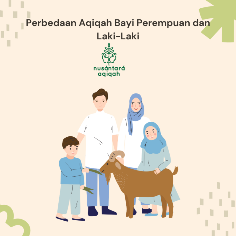 Perbedaan Aqiqah Bayi Perempuan dan Laki-Laki